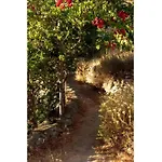 Boutique Stone House Σπίτι διακοπών Κάλυμνος