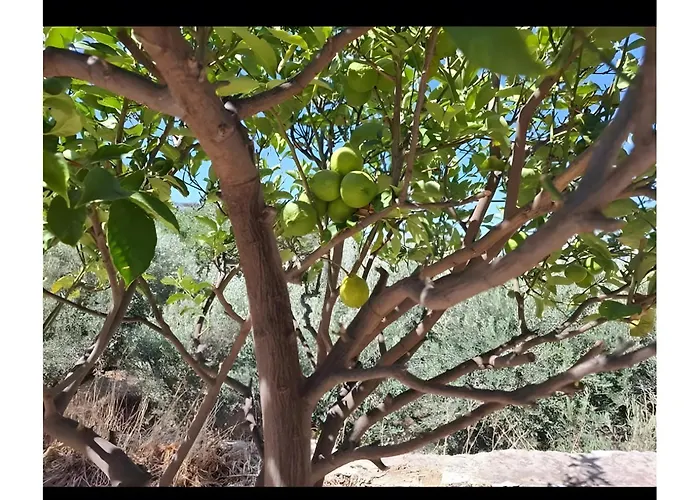 Boutique Stone House * Kálymnos